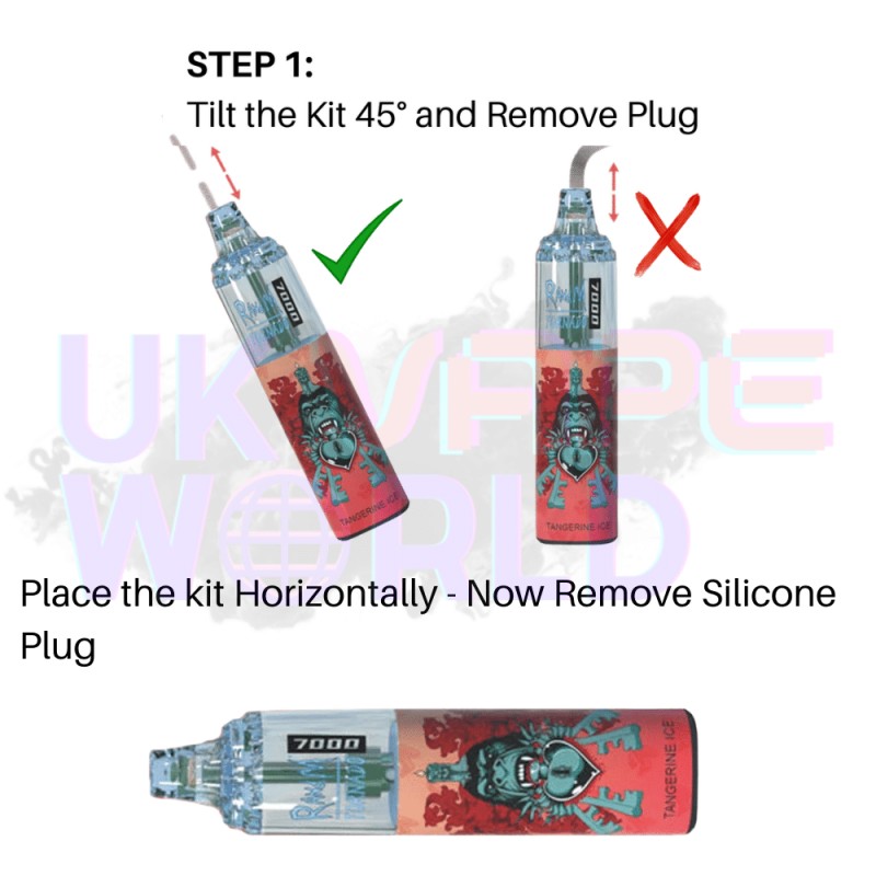 Blueberry Pomegrante - Tornado 7000 Puff Bar R and M Pack Of 10 Vape Pen